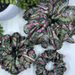 Paisley Silky Satin Scrunchie